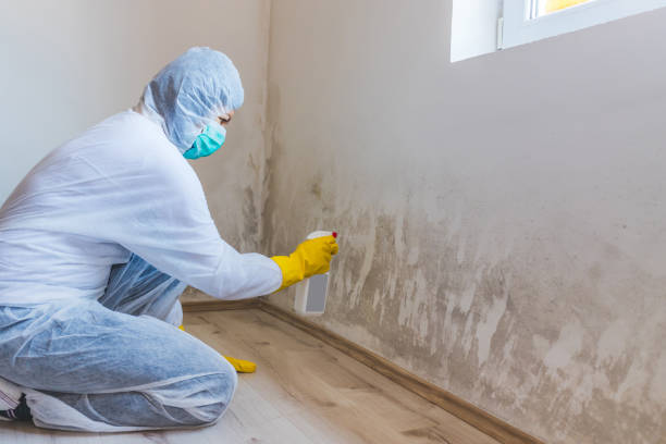 Hvac And Air Duct Mold Remediation inspection of HVAC system in Bonney Lake